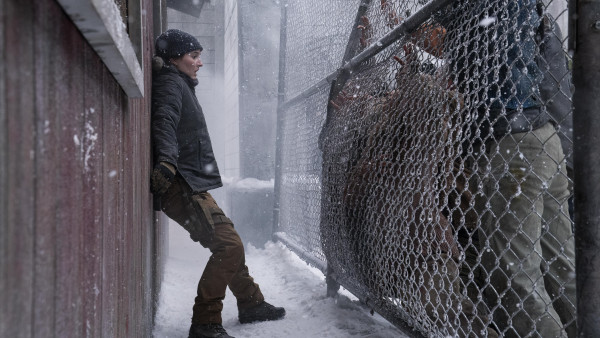 After 2 Seasons, He Leaves 'The Last Of Us' Behind, The Creator Has Had Enough
