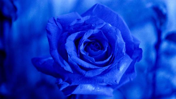 Highly Anticipated Marvel Series In Limbo After Disney+ Decision?