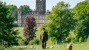 After 25 Years, A Major Saga Comes To An End: First Reviews Of 'Downton Abbey: The Grand Finale' After 25 Years, A Major Saga Comes To An End: First Reviews Of 'Downton Abbey: The Grand Finale'