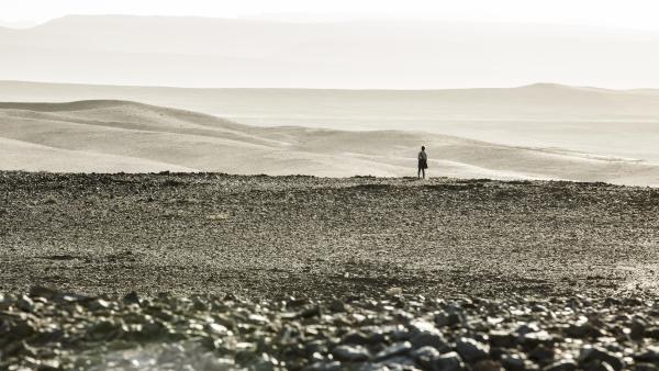 Epic Series Based On Stephen King's Will Crash Everything