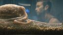 Incredible But True: 'The Boys' Introduces A Real 'toy' Based On The Octopus Ambrosius (!) Incredible But True: 'The Boys' Introduces A Real 'toy' Based On The Octopus Ambrosius (!)