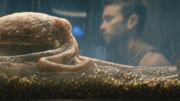 Incredible But True: 'The Boys' Introduces A Real 'toy' Based On The Octopus Ambrosius (!)