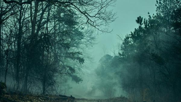 Only 11 Days Until The Biggest Series On Netflix Will Enchant Everyone Again